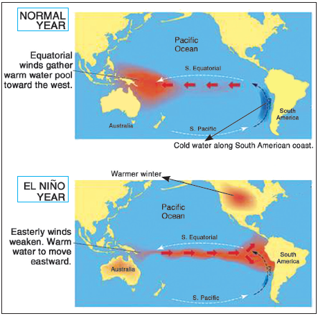 Impact of ENSO on Indian Monsoon