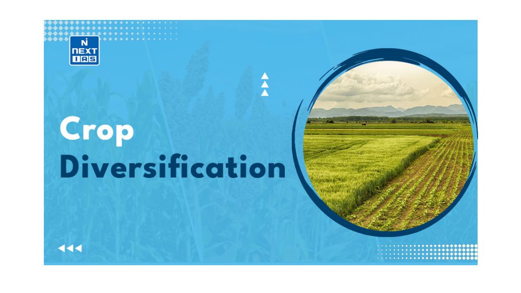 Crop Diversification: Working, Advantages & Issues