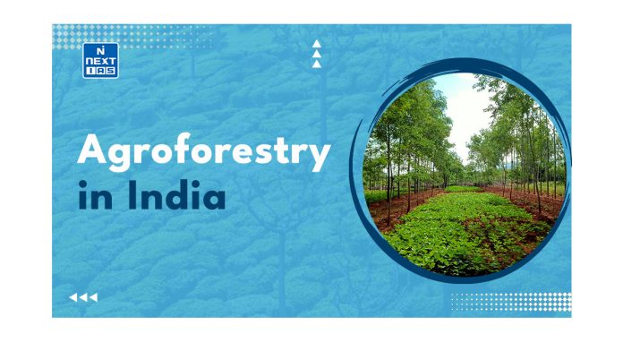 Agroforestry in India