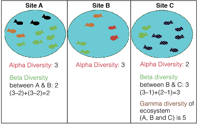 alpha beta gamma diversity