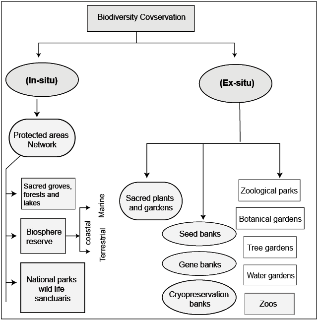 biodiversity conservation methods