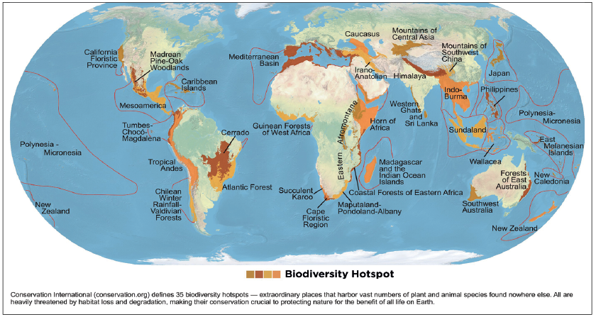 biodiversity hotspots in world