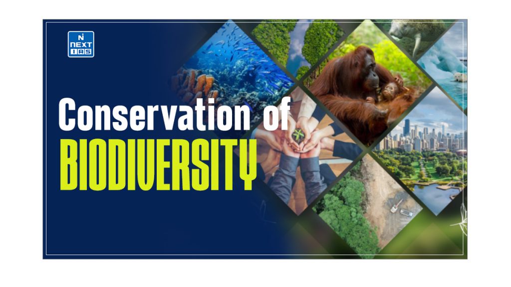 Conservation of Biodiversity