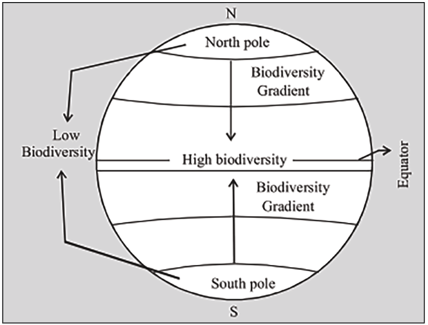 latitudinal diversity gradient