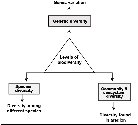 levels of biodiversity
