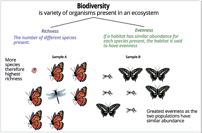 measurement of biodiversity