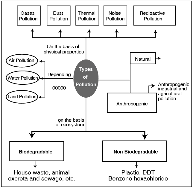 Types of Environmental Pollution