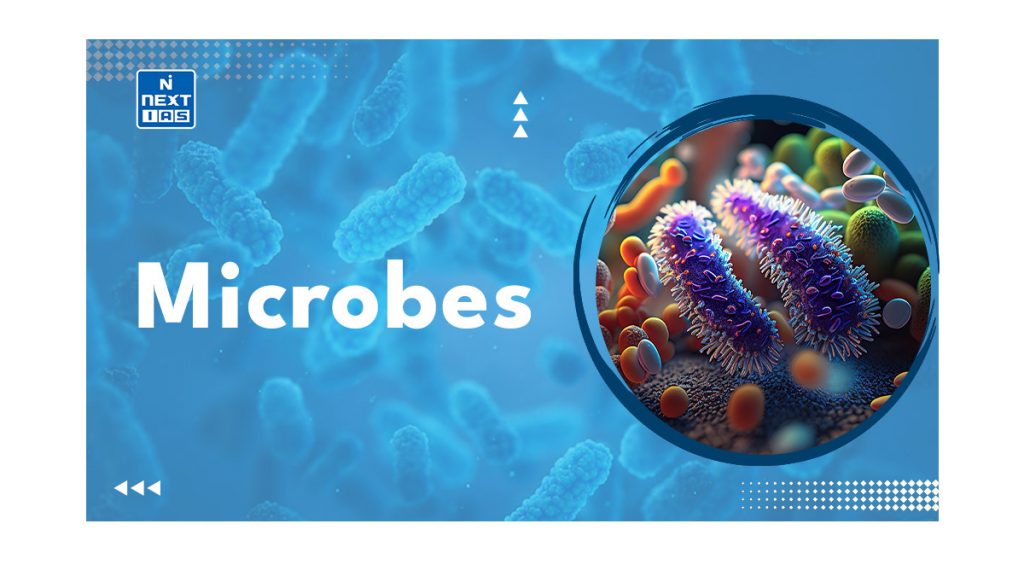 Microbes