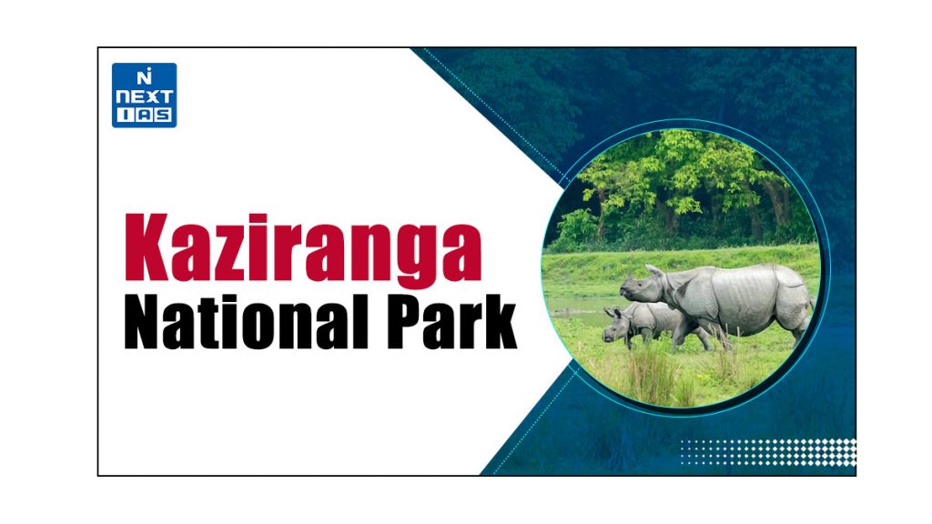 kaziranga national park