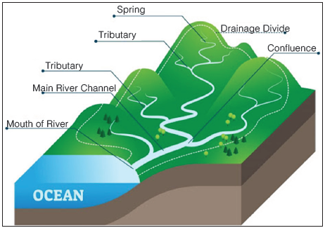 Drainage System