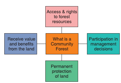 Community Forestry