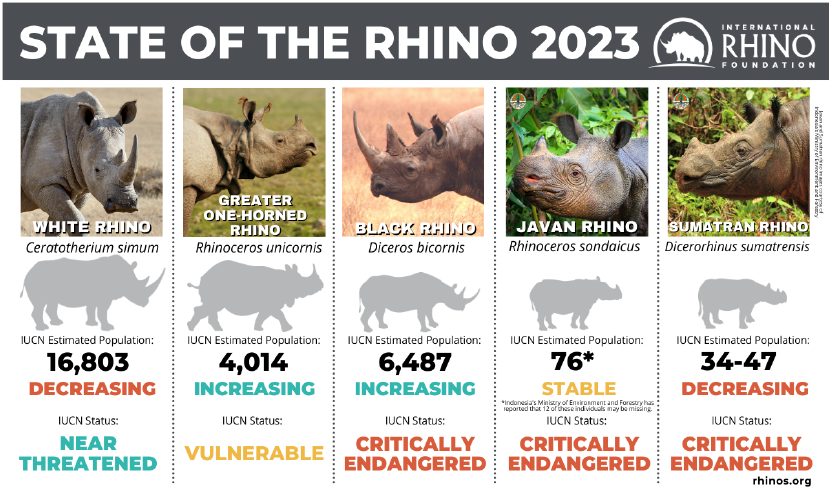 Indian One Horn Rhino Vision-2020