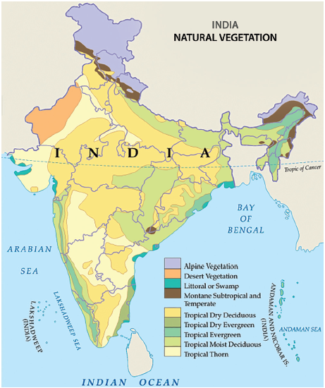 Natural Vegetation in India