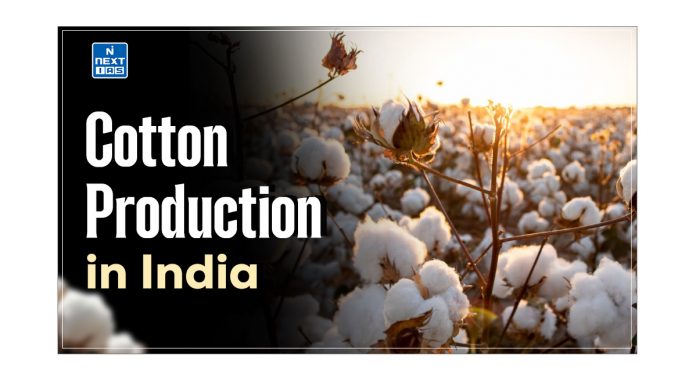 Cotton Production in India