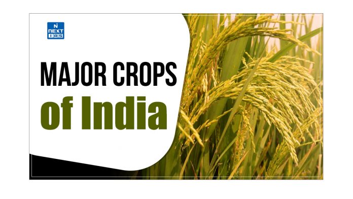 Major Crops of India