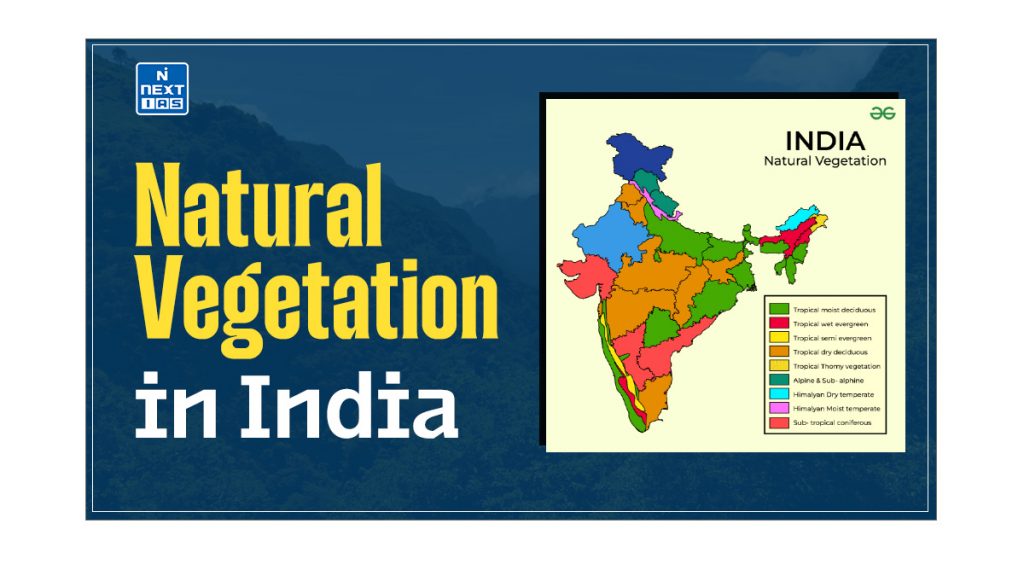 Natural Vegetation in India