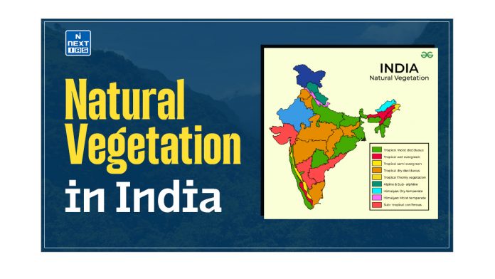 Natural Vegetation in India