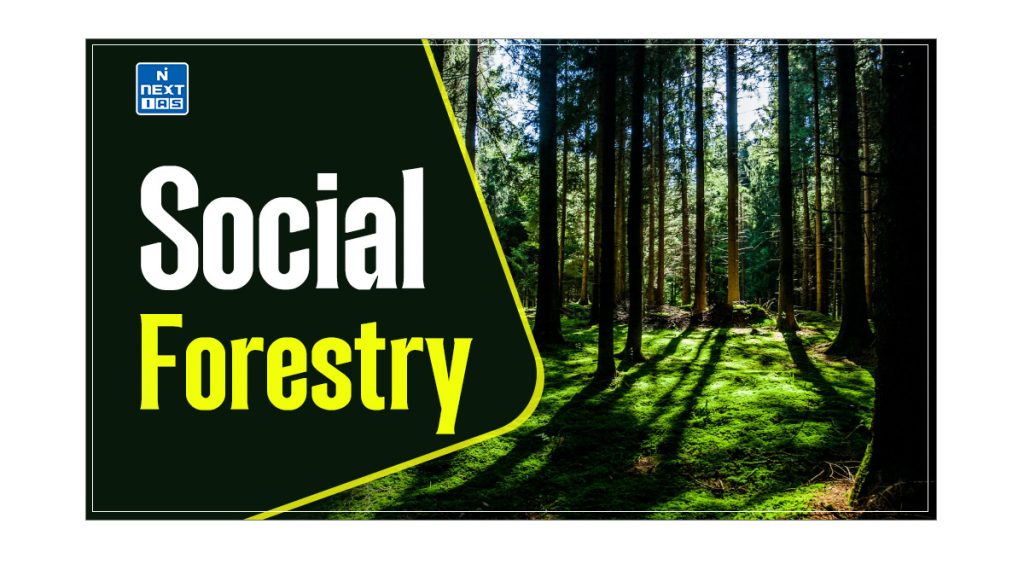 Social Forestry