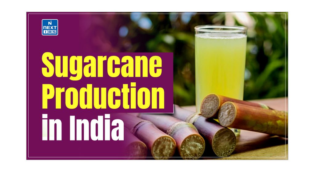 Sugarcane Production in India