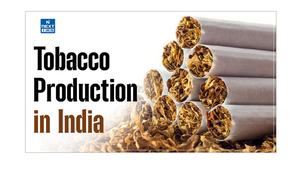 Tobacco Production in India