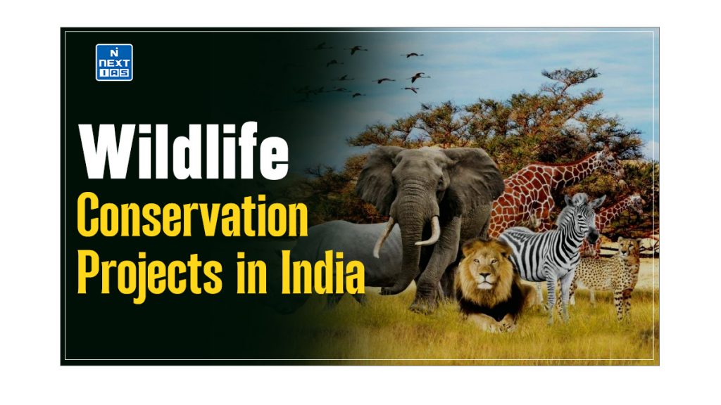 Wildlife Conservation Projects in India