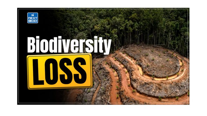 Biodiversity Loss