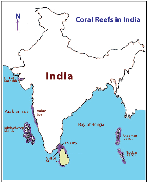 Coral Reefs in India