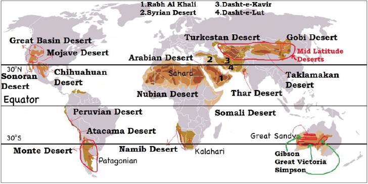 Desert Ecosystem