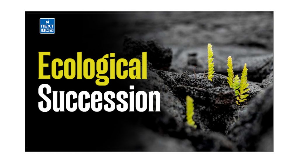 Ecological Succession