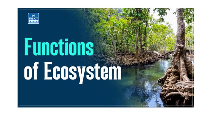 Functions of Ecosystem