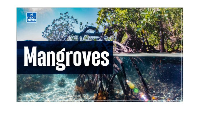 Mangroves