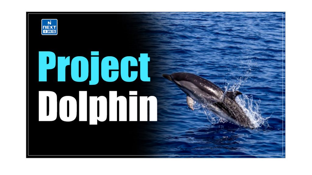 Project Dolphin