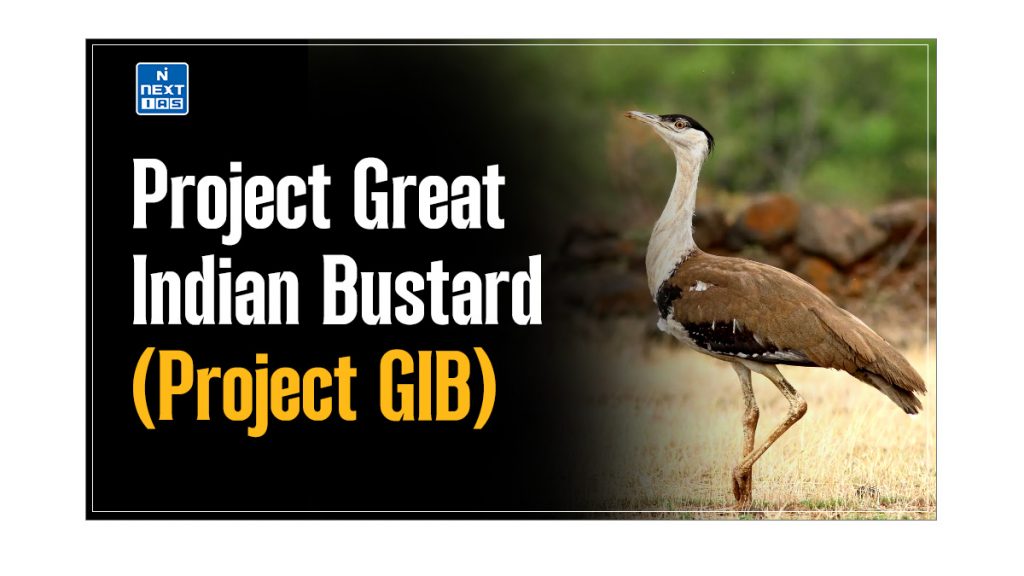 Project Great Indian Bustard