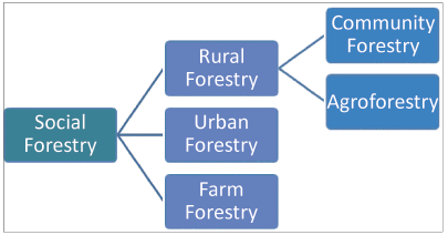 Social Forestry