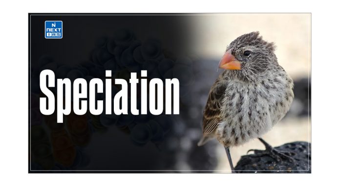 Speciation