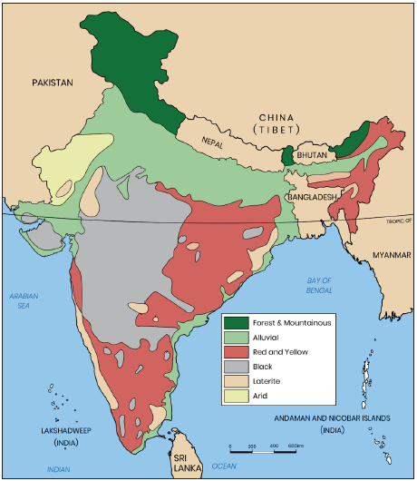  types of soil in India