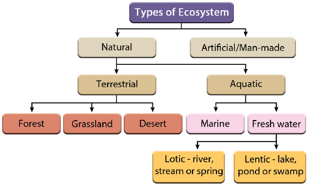 Types of Ecosystem