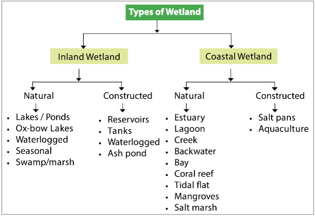 Types of Wetland