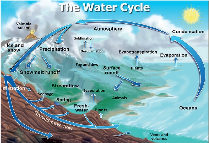 water cycle