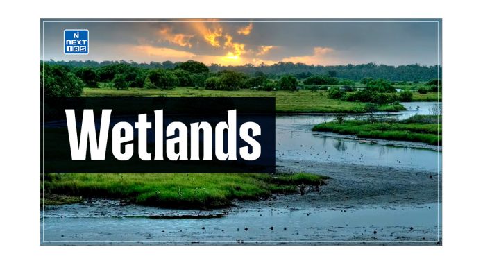 Wetlands