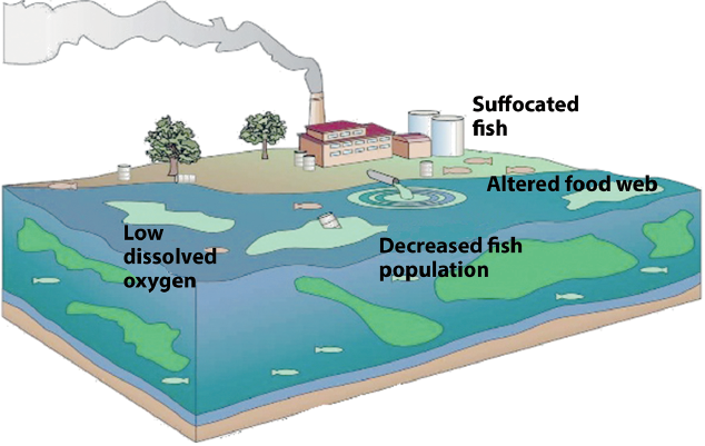 Effects of Thermal Pollution