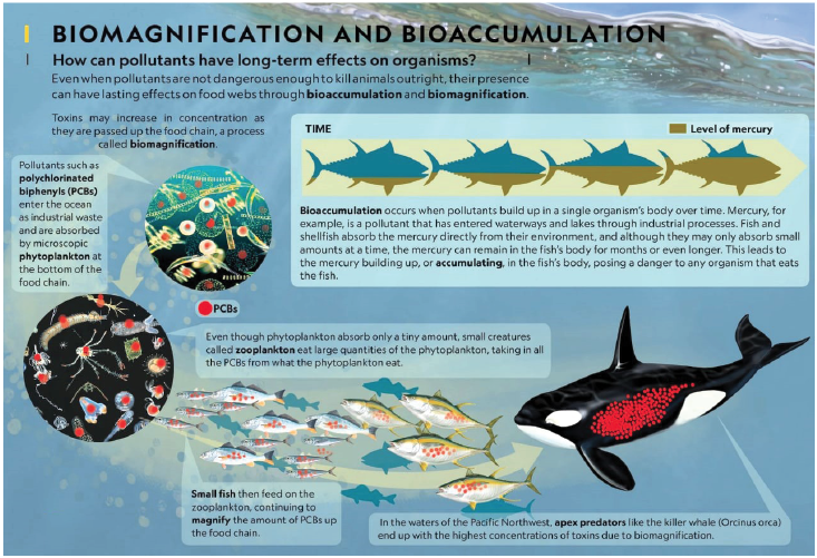 Bioremediation 