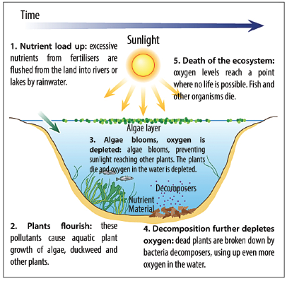 Eutrophication