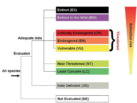 Classification of Threatened Species under IUCN Red List