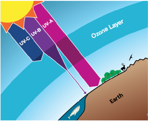 Ozone Layer