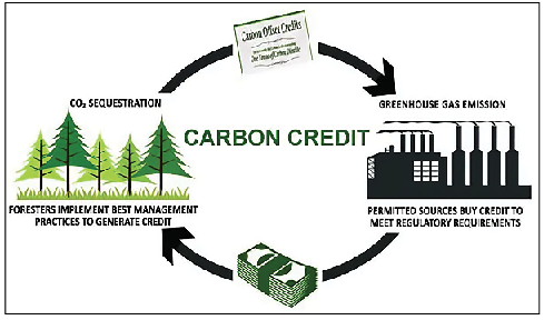 Carbon Credit