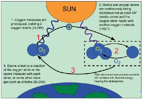 Ozone Layer Depletion