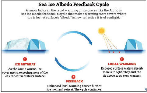 Impacts of Black Carbon