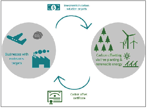 Carbon Offsetting