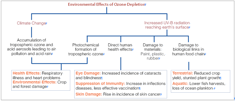 Effects of Ozone Layer Depletion